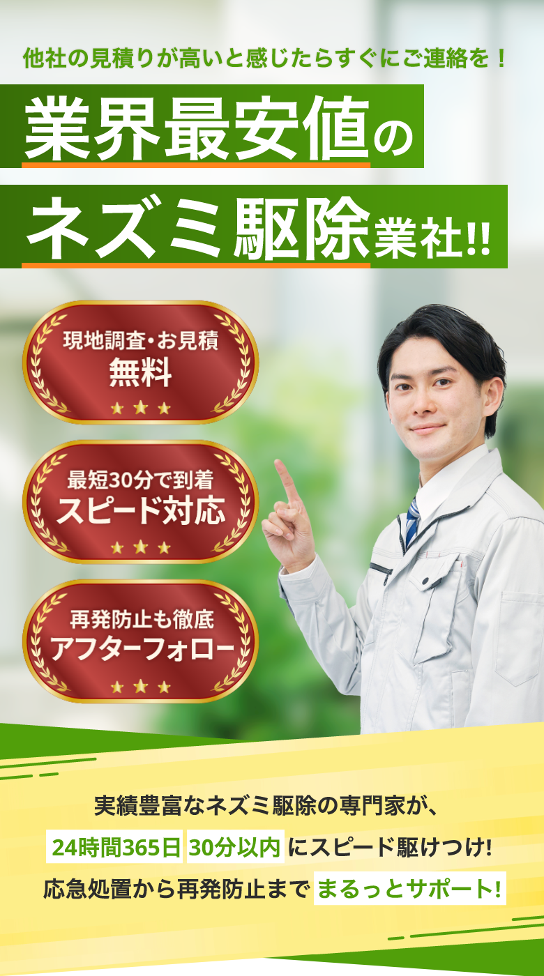 他社の見積りが高いと感じたらすぐにご連絡を！業界最安値のネズミ駆除業社!!